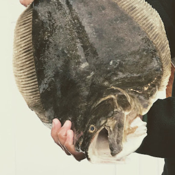 Meet your Posher, David - Picture 1 of 1